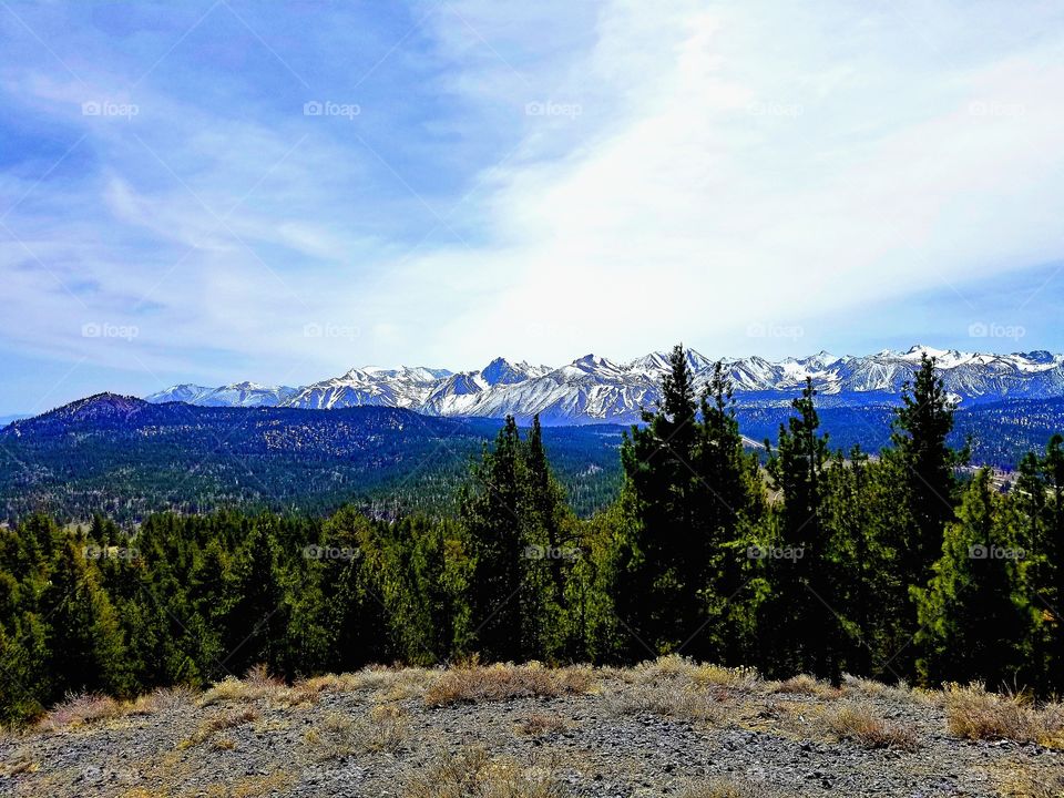 MAMMOTH LAKES|california