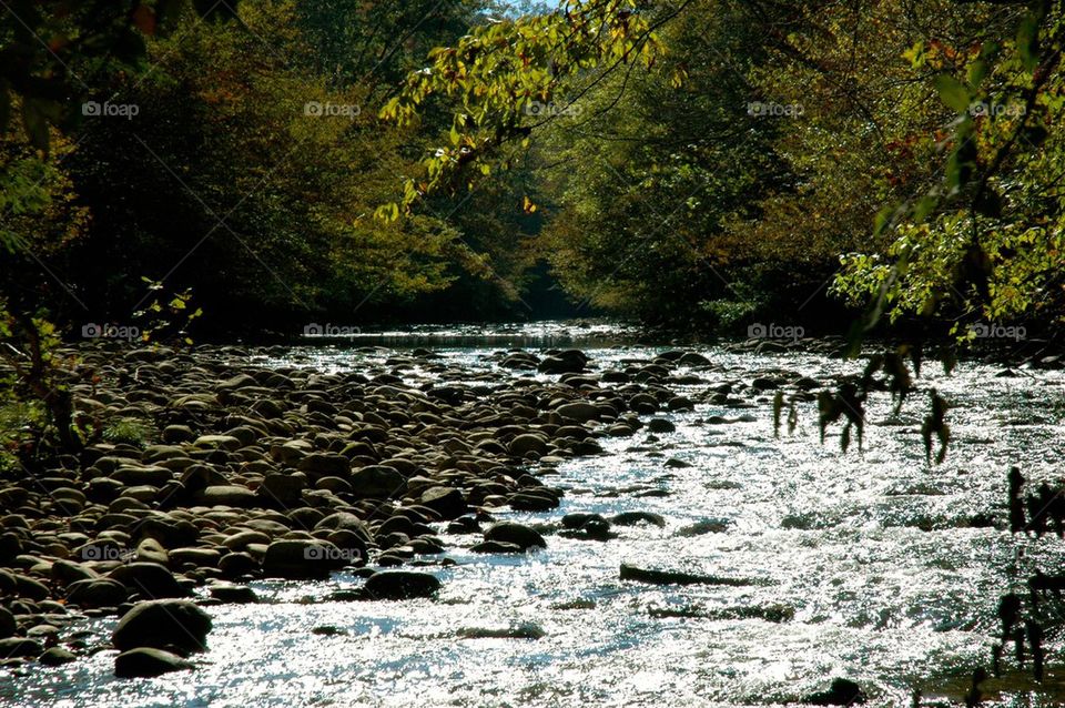 Tennessee River 