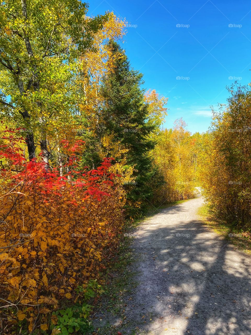 Hiking trail in autumn 