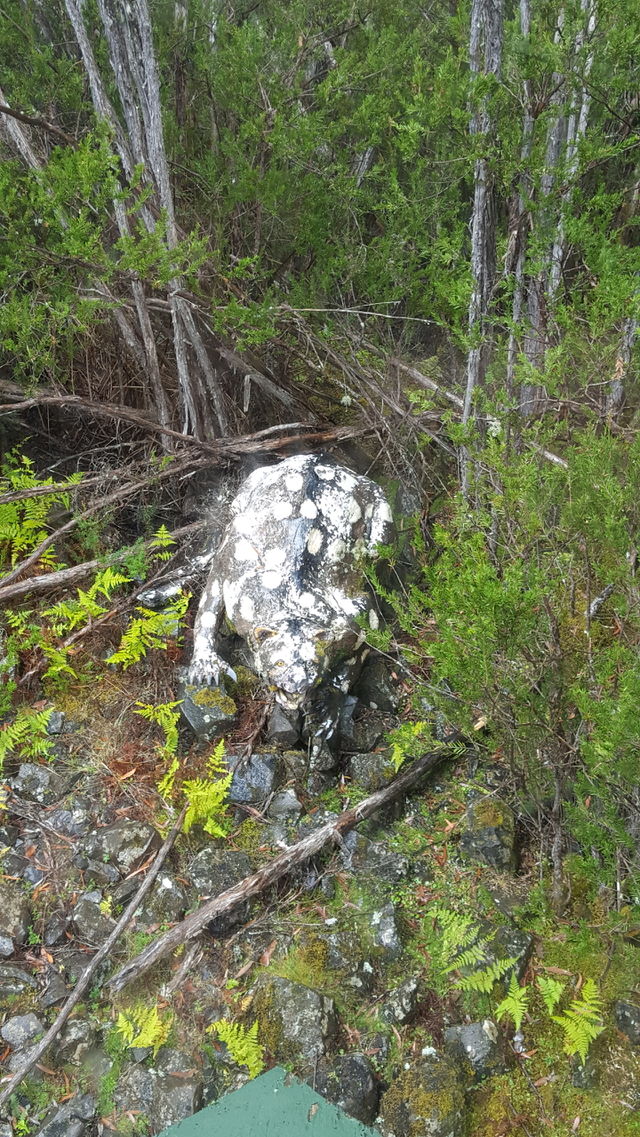 woodland sculpture