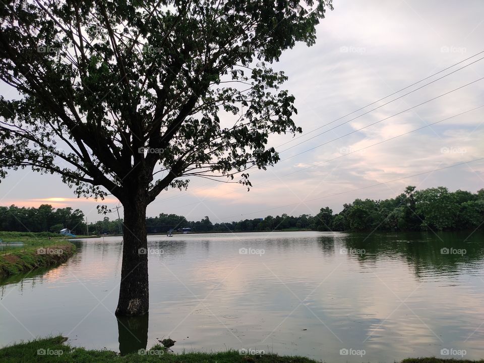 This is the beauty of our country.
Our country weather is amazing.
This photos is  click by me
The tree in the river.