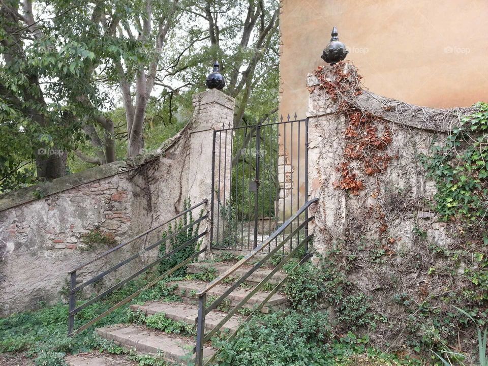 The entrance of the abandoned garden