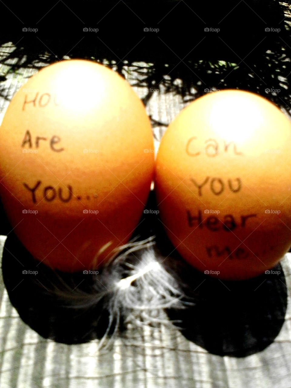 egg word