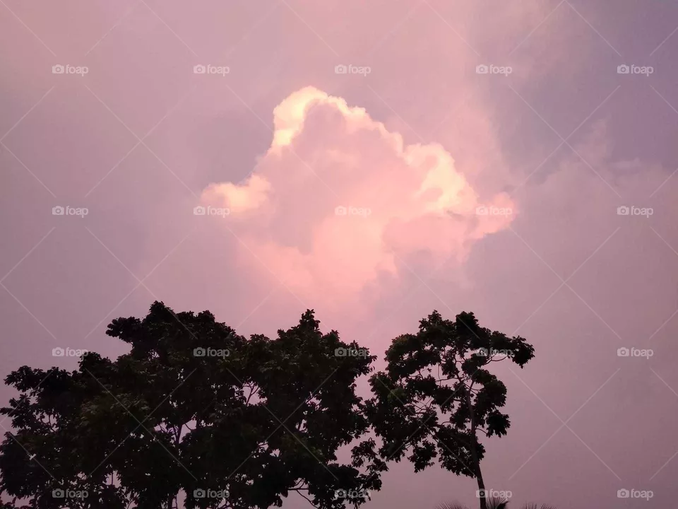 Beauty in nature