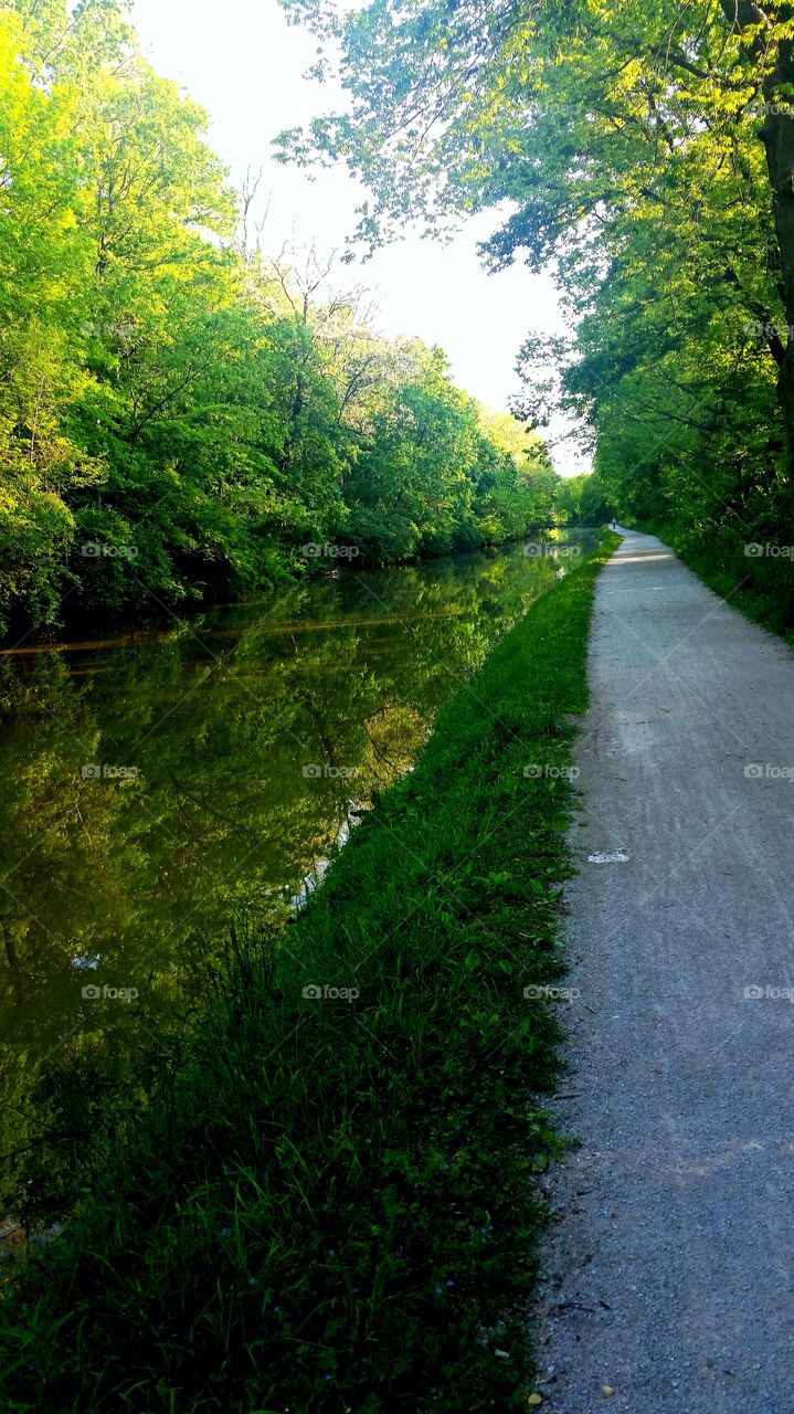 Tow path in deep woods. Holcomb Gardens, Butler University