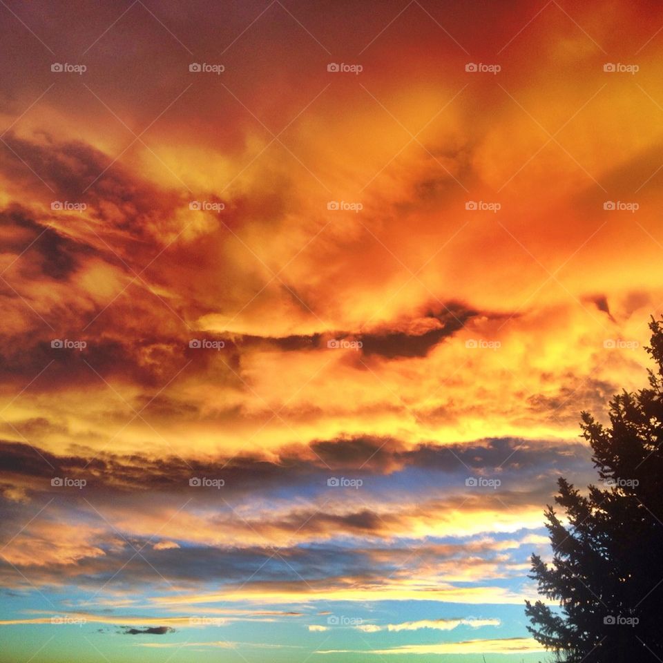 Colorado sky 