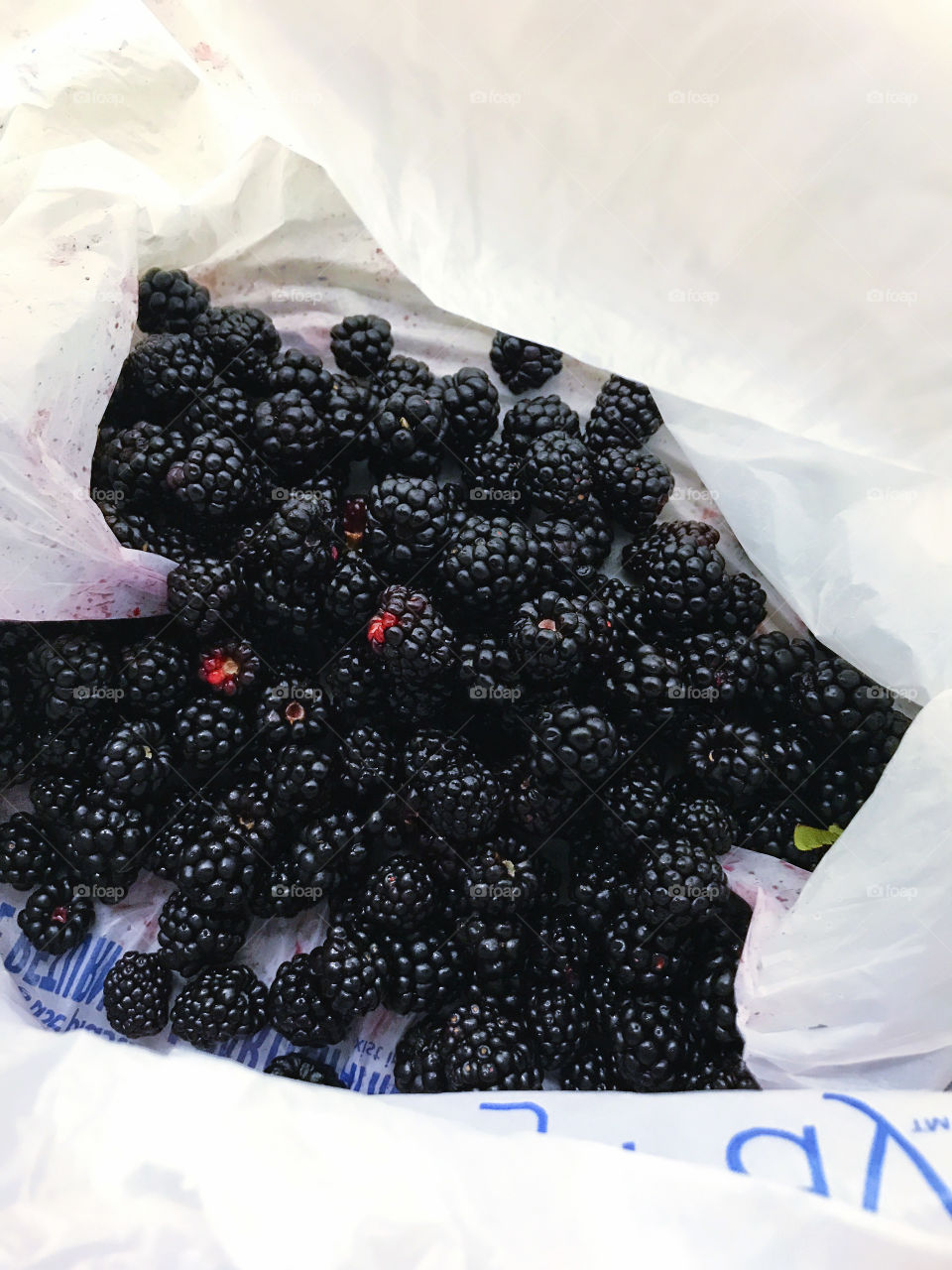 Blackberries freshly picked 