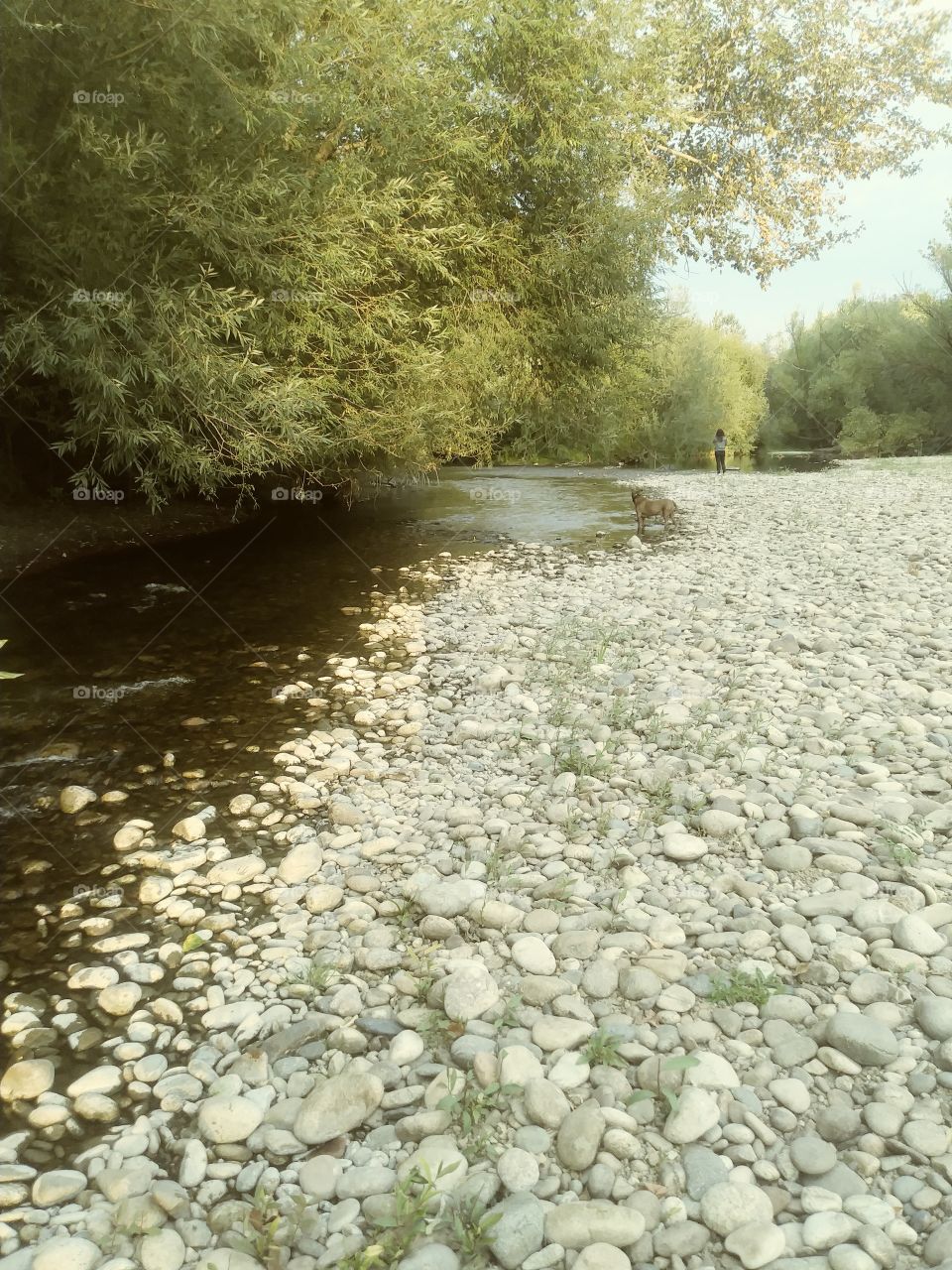 river bed