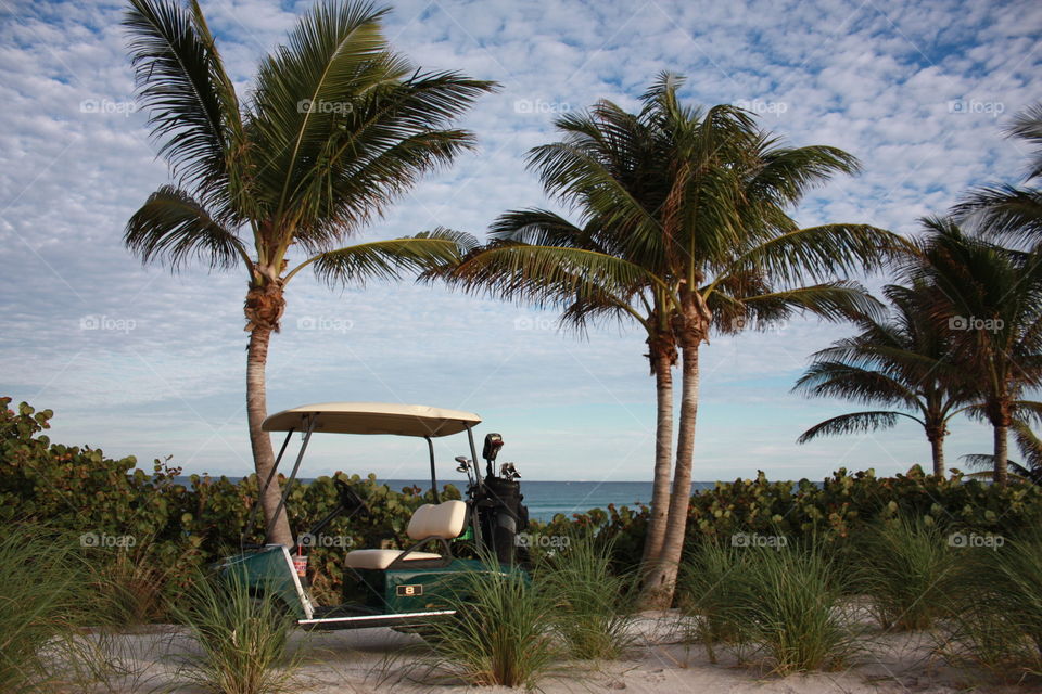 Golf on the ocean. Golf cart and palm trees next to the Atlantic Ocean close to sunset