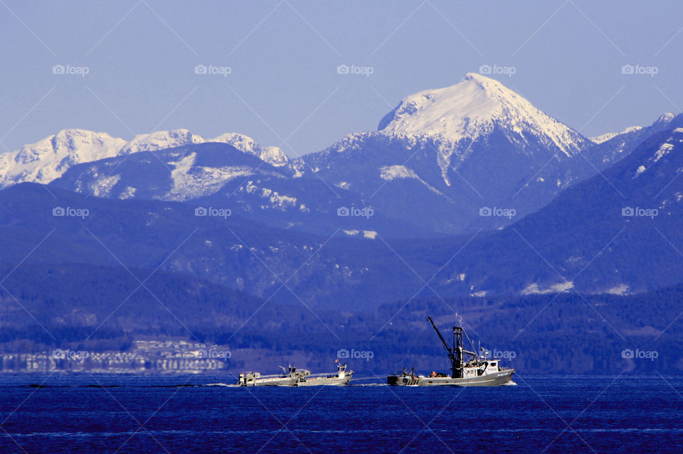 Herring season is prolific in our area on the Pacific Coast and a fishing boat pulling 2 net boats is likely returning home from the harvest. Its a sunny clear day reflecting the sky & ocean making the hills & mountains blue too! 