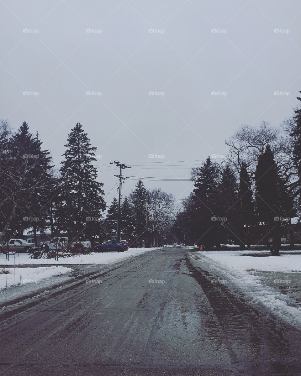Snow, Winter, Road, Tree, Cold