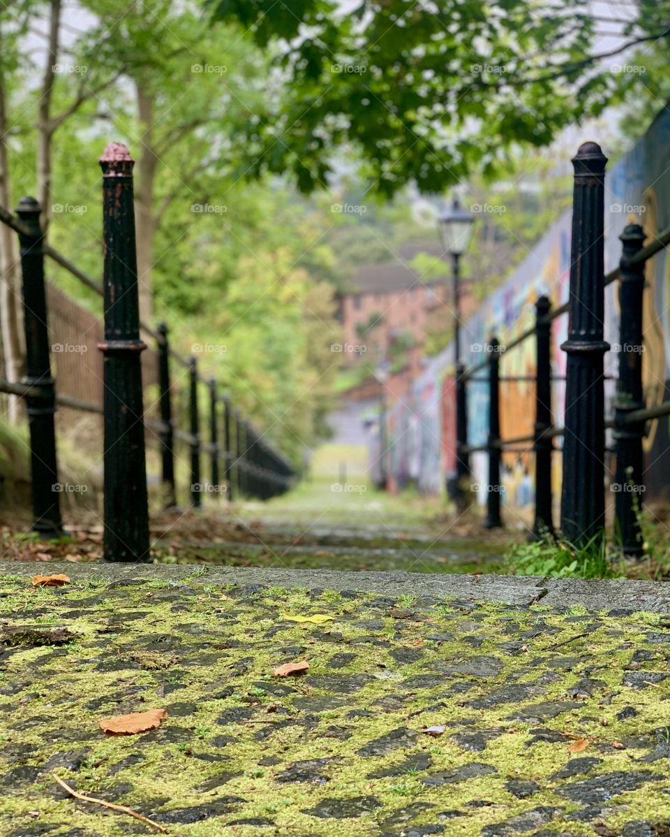 Old cobblestone path