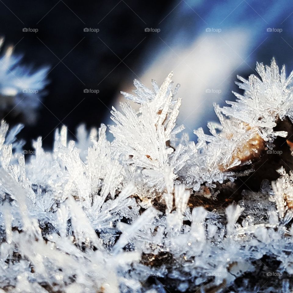 ice crystals