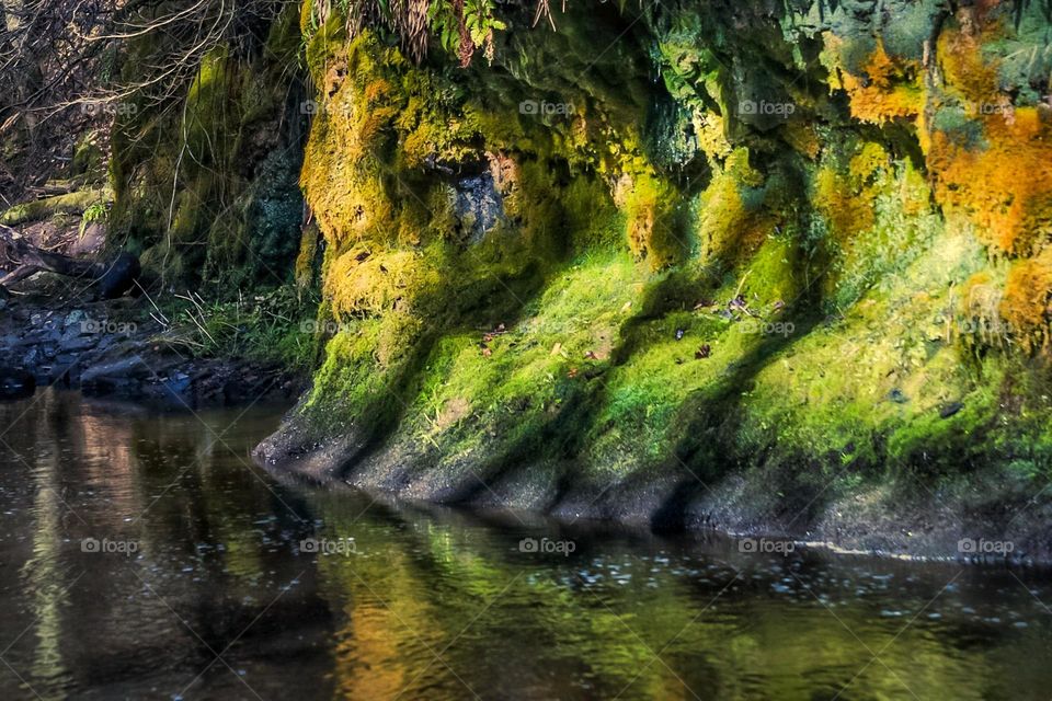 Beautiful spring colour