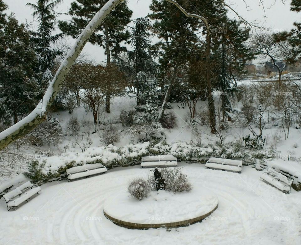 Snowy Scene NYC Park