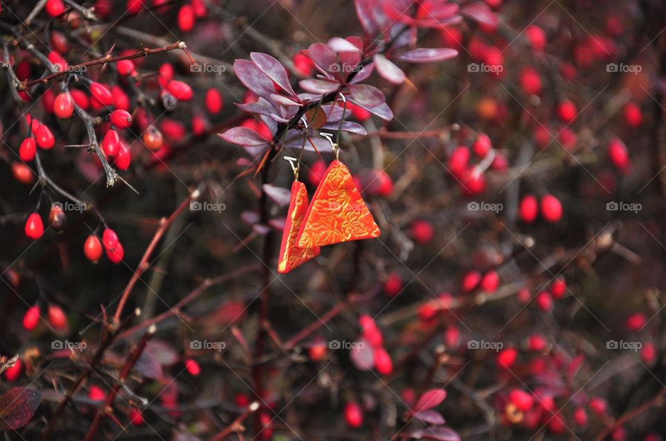 red triangular earrings with autumn leaves pattern hanging on a branch