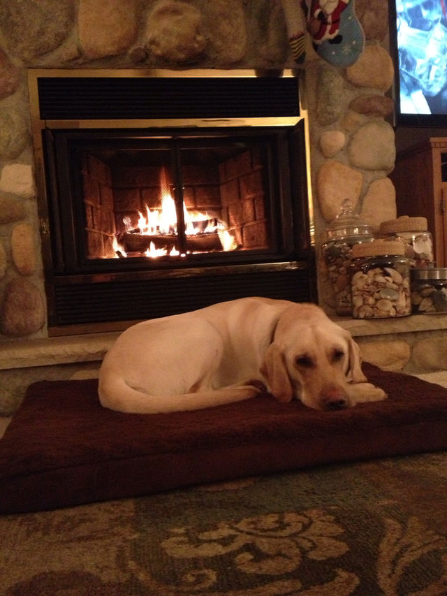 Cozy night in.