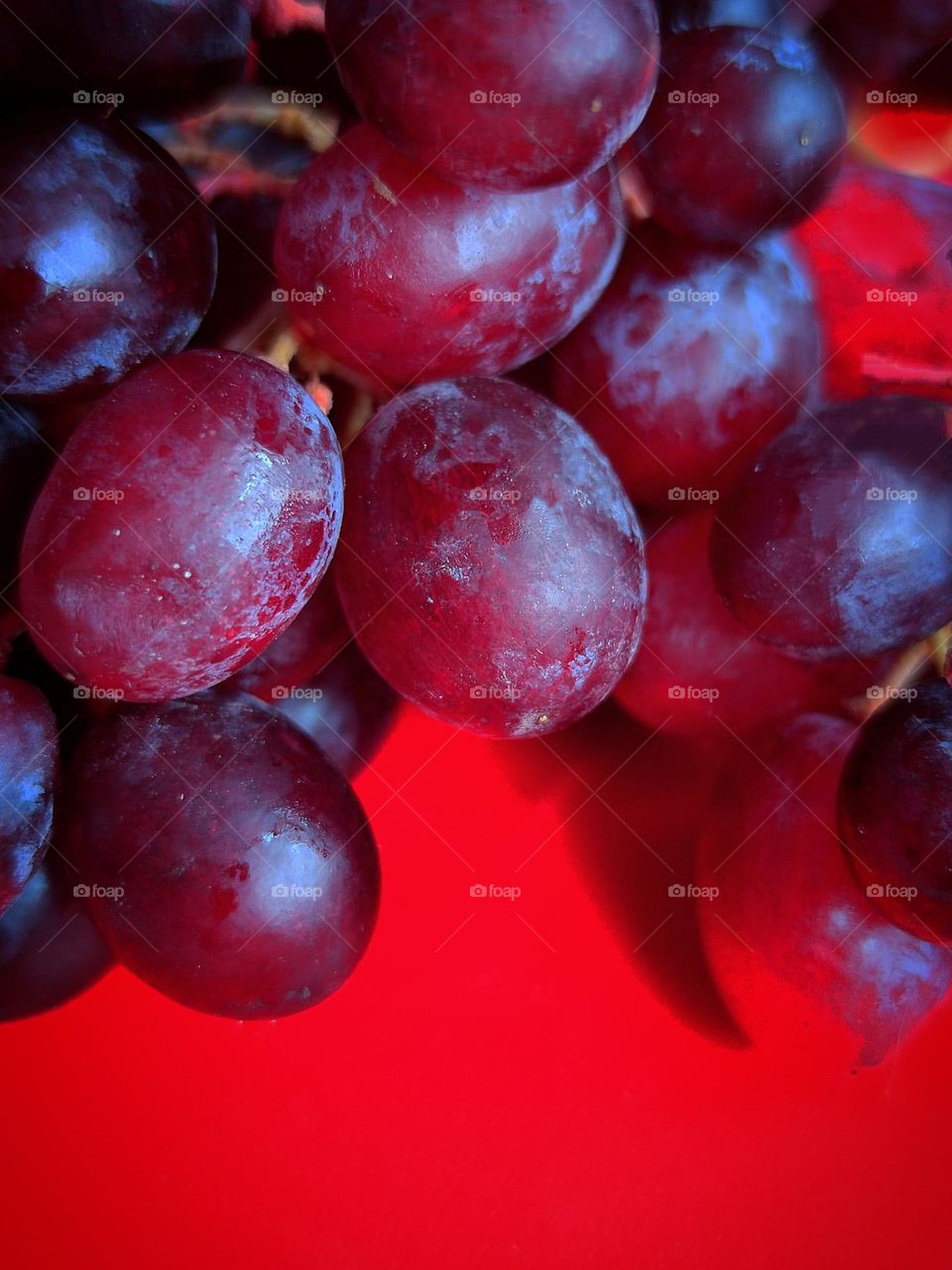 On a red background close-up part of a bunch of grapes of purple-red color