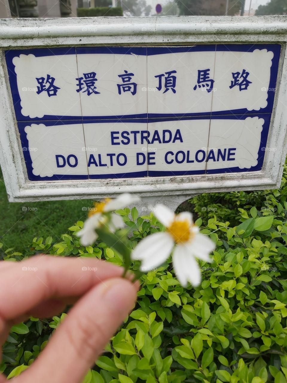 Coloane Park