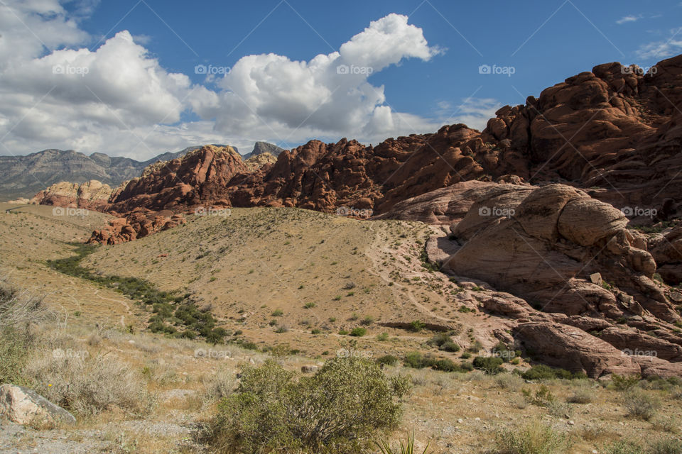 Red Rock Canyon , Mojave Desert near Las Vegas , in Nevada.  