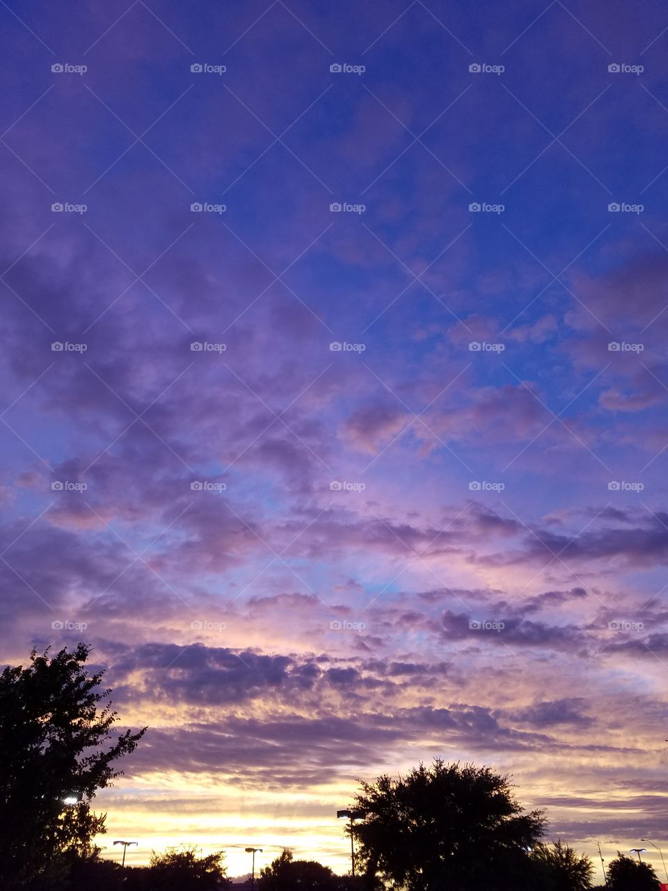 Texas sky at night