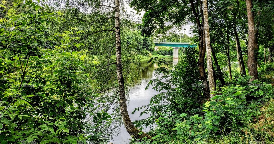 Along with nature. (Lithuania, July, 2019).