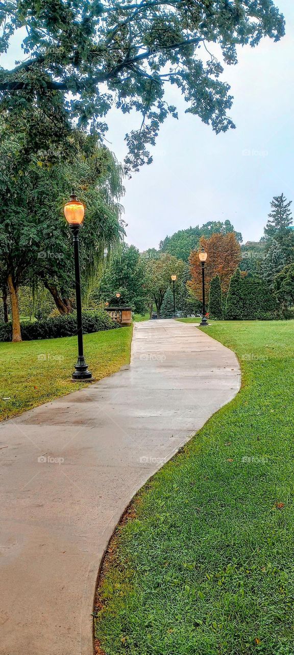 Walkway with Lamp Posts