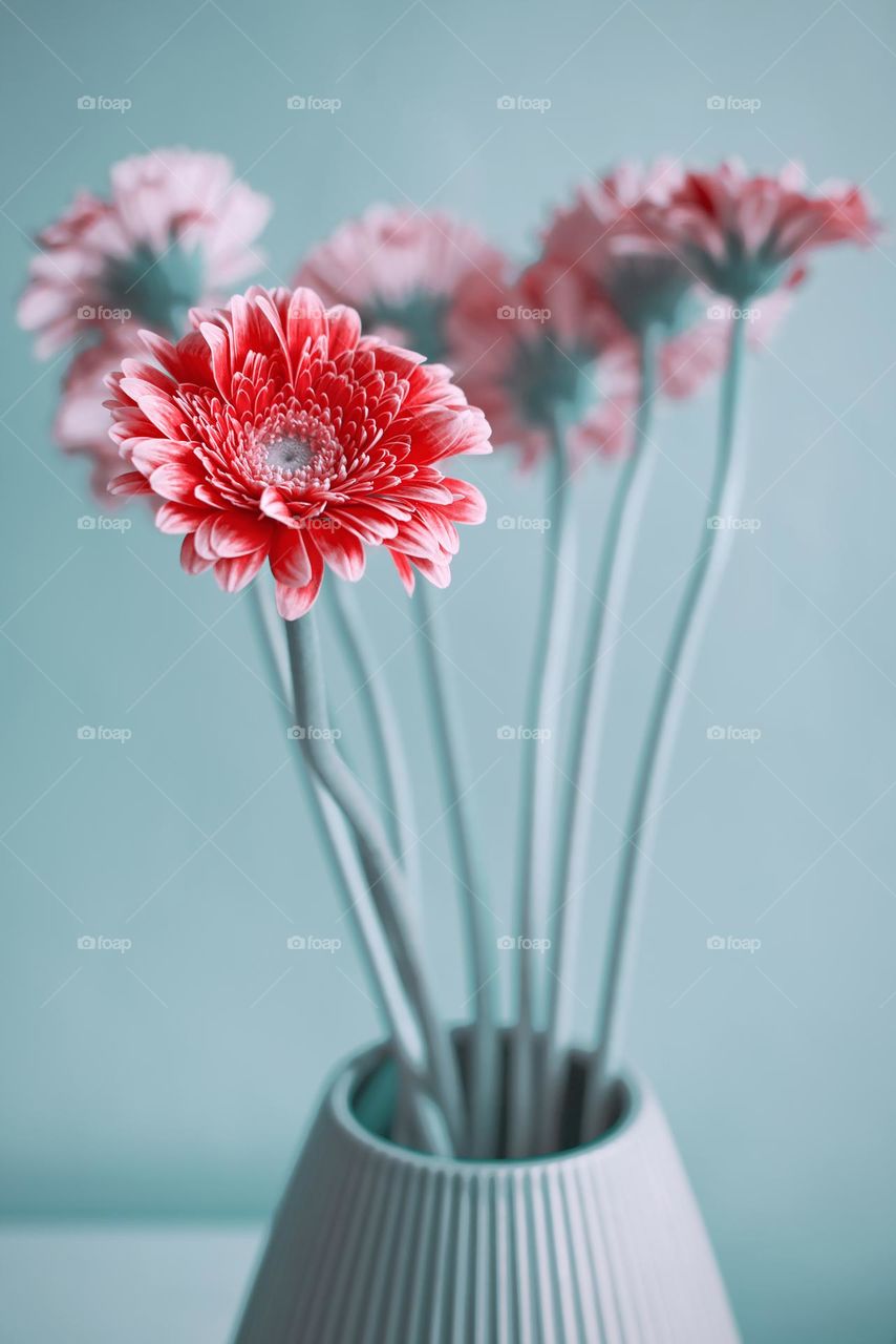 Flowers in the vase