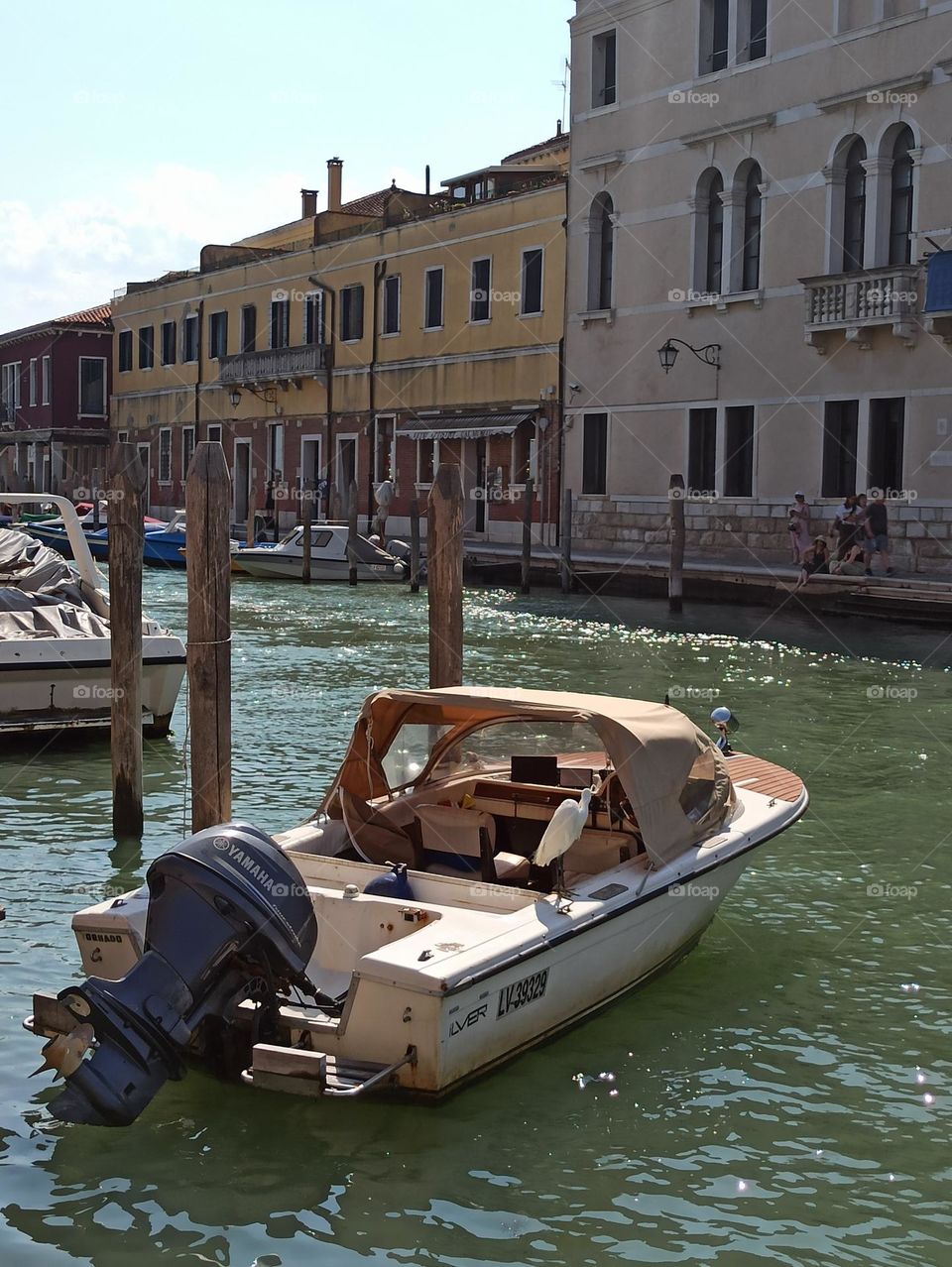 Glimmers: small moments of happiness