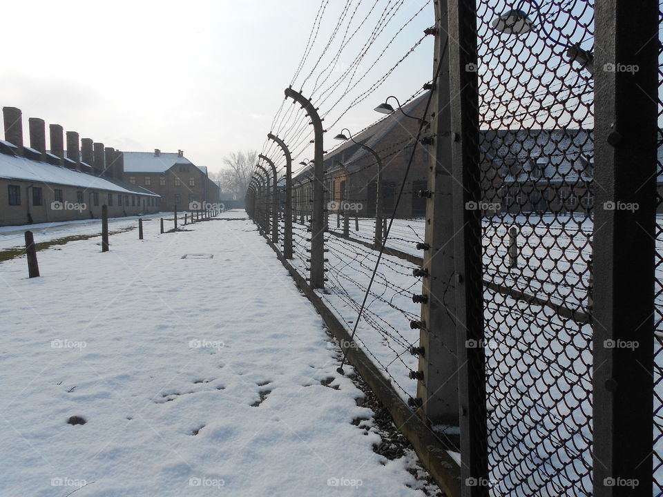 Auschwitz in Winter