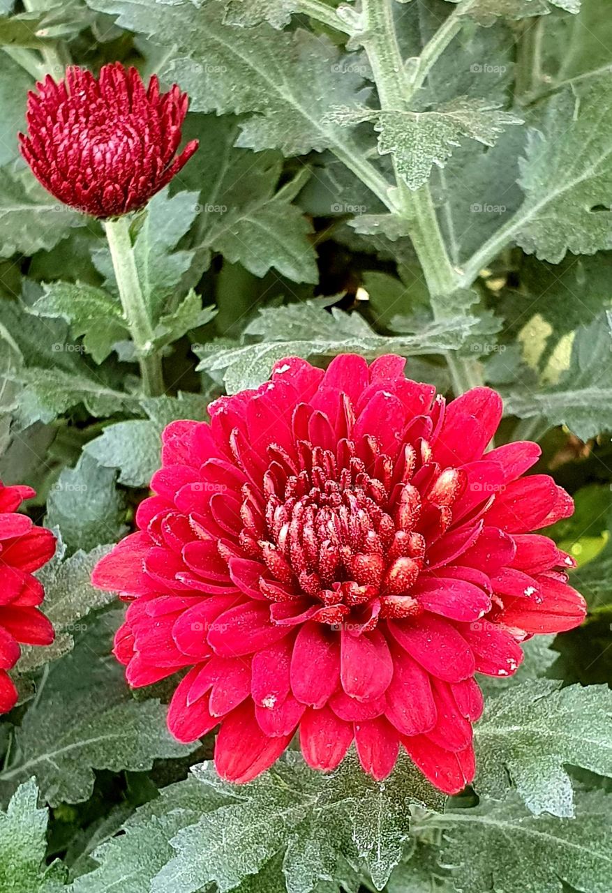 Editors' Choice : Photo of the week