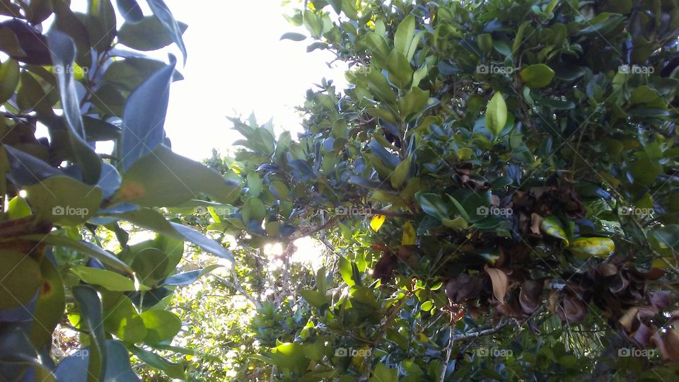 The secret garden unedited