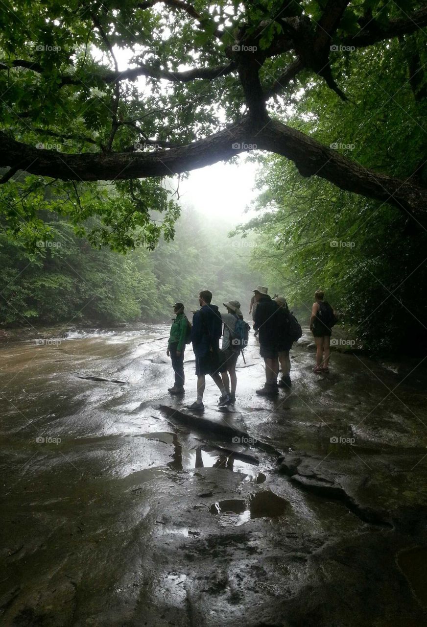 Misty River Hike