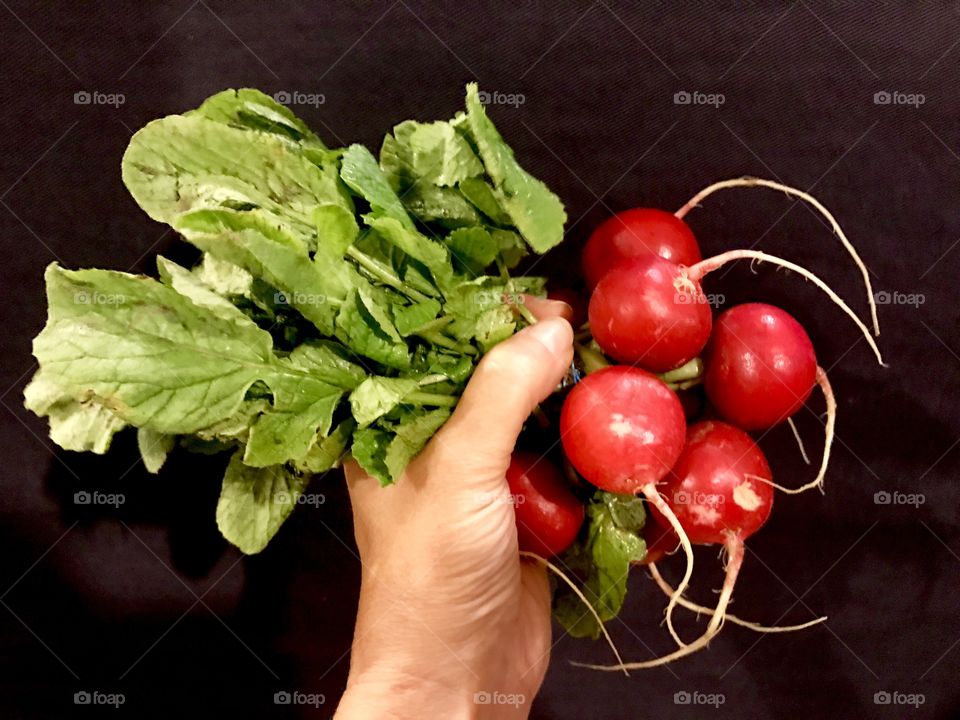 A hand holding bunch of radishes