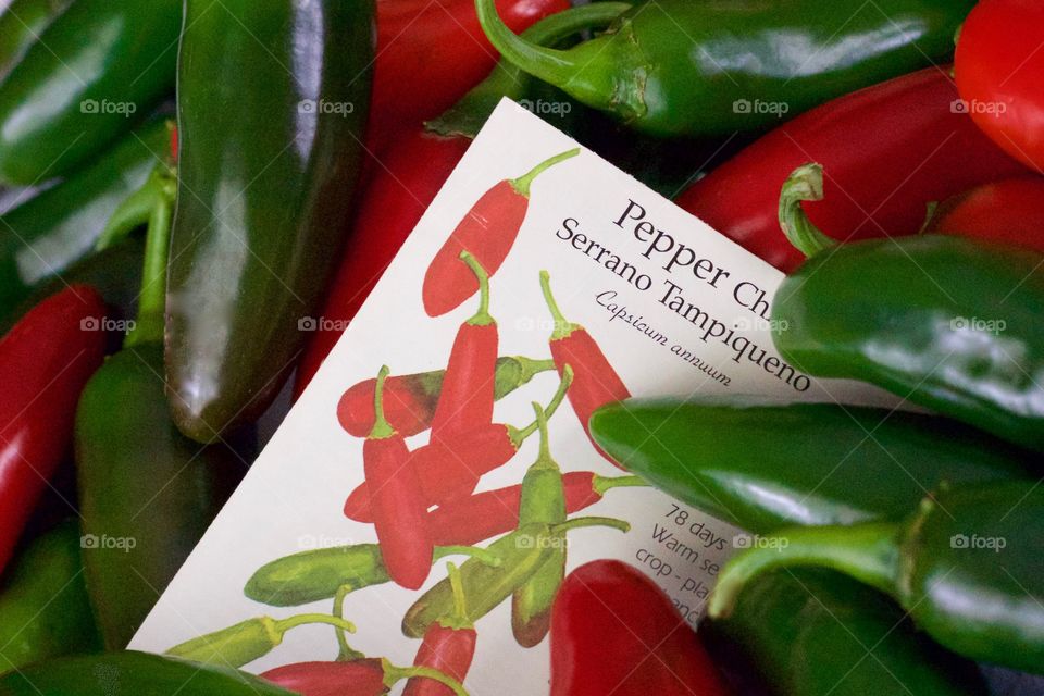 Red and green Serrano chile peppers and their seed packet 