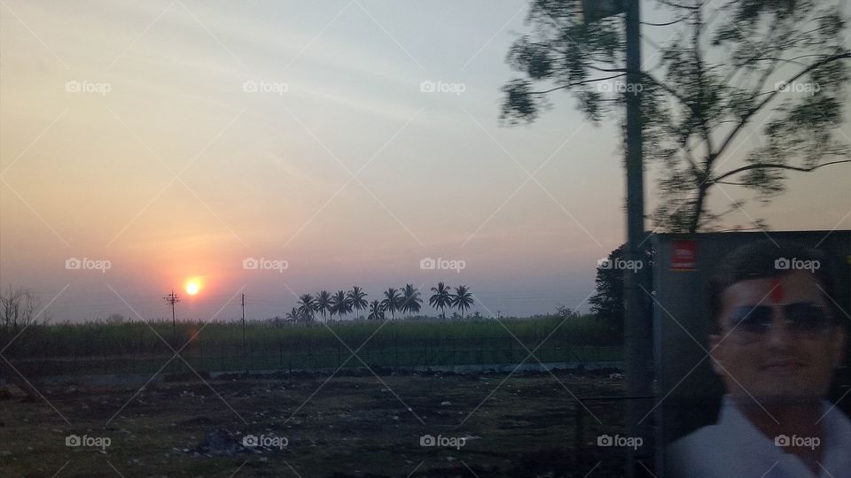 sunset with coconut tree