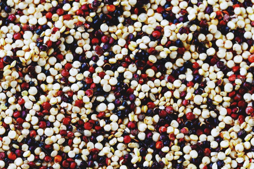 Getreide in full frame