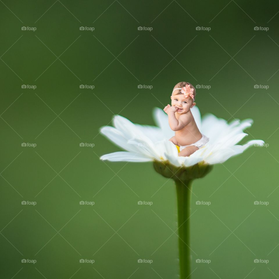 Baby on white flower