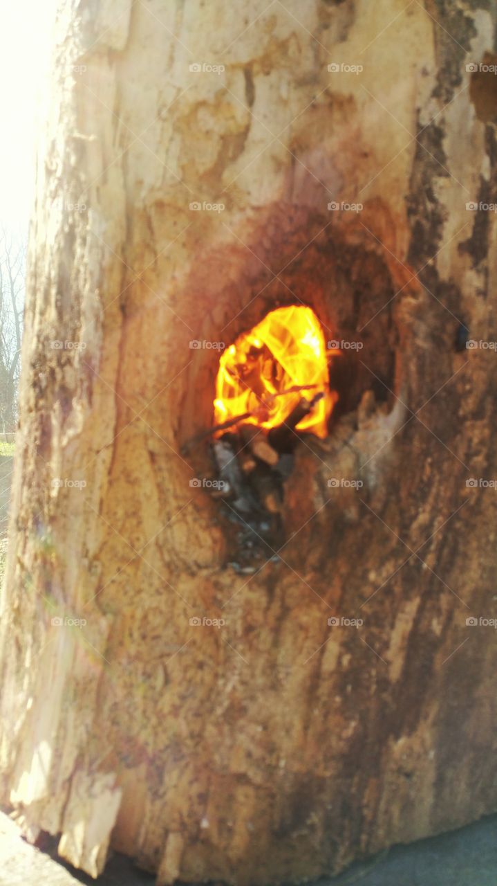 Hot !!  Fire Log