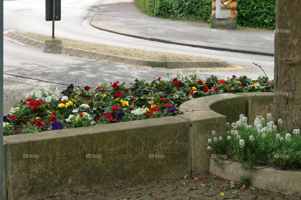 Street planting