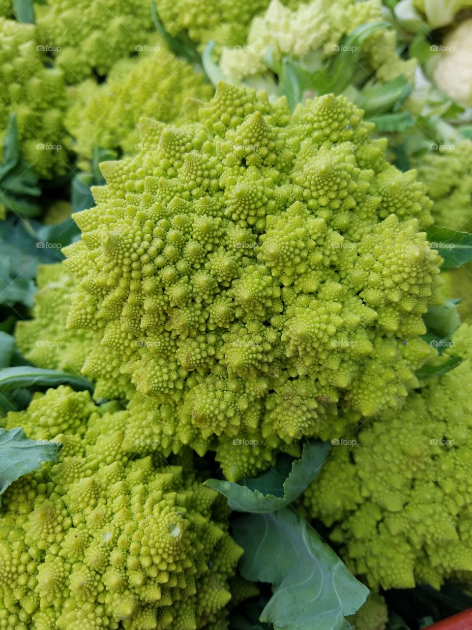 cooking with Broccoflower