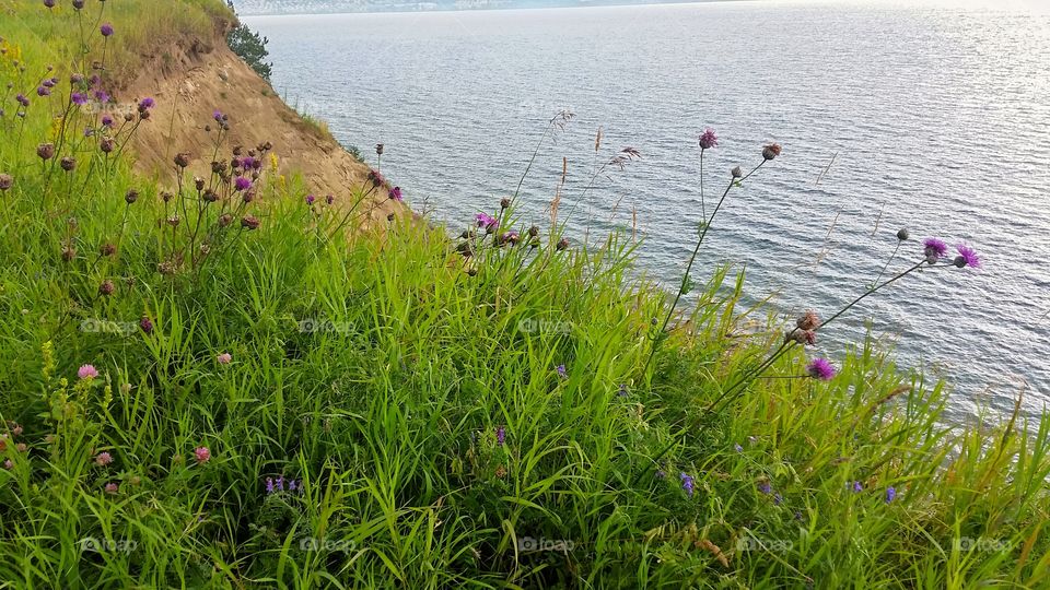 Beach cliff