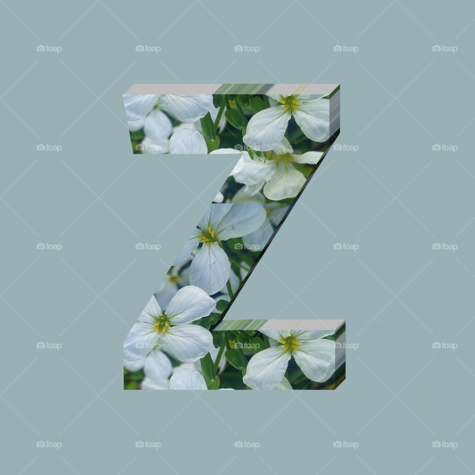 Z alphabet 3d rendering of vertical white flowers alphabet