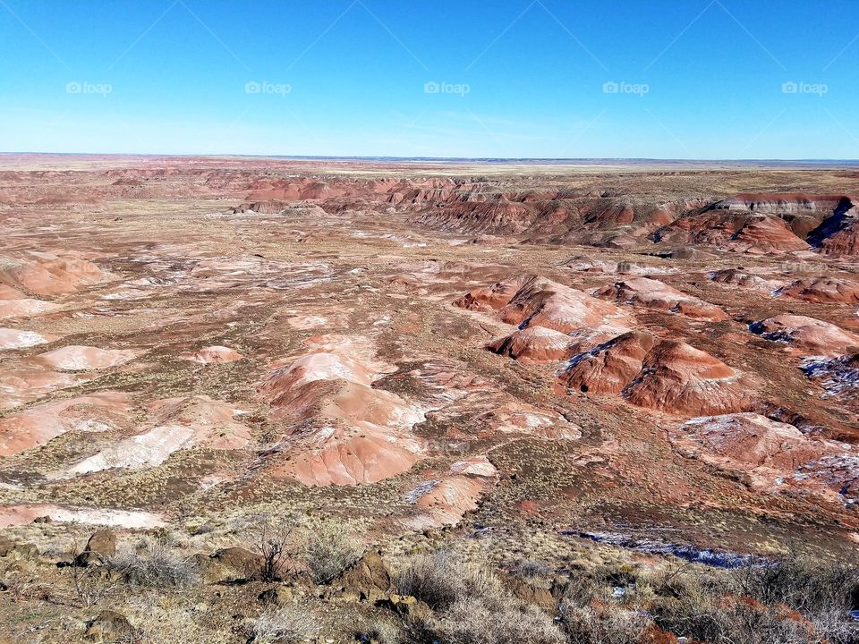Petrified Forest National Park.