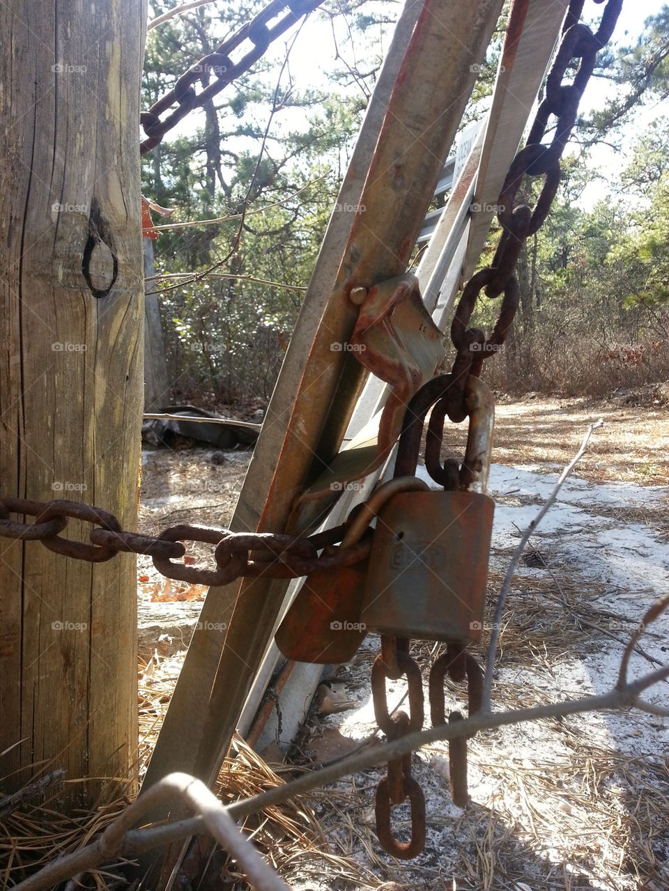 rusty lock in woods