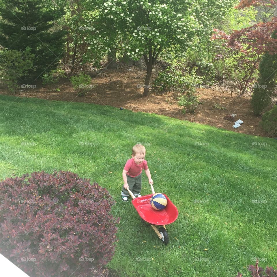 Nature time wheelbarrow 