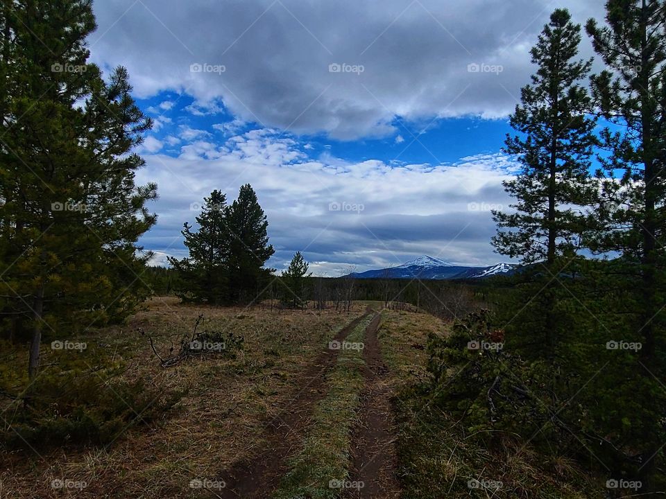 Following ATV trails in the wilderness
