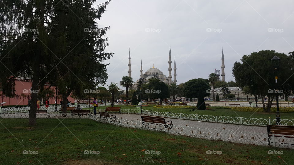 Mosque view