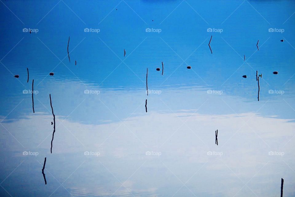 Reflections on water 