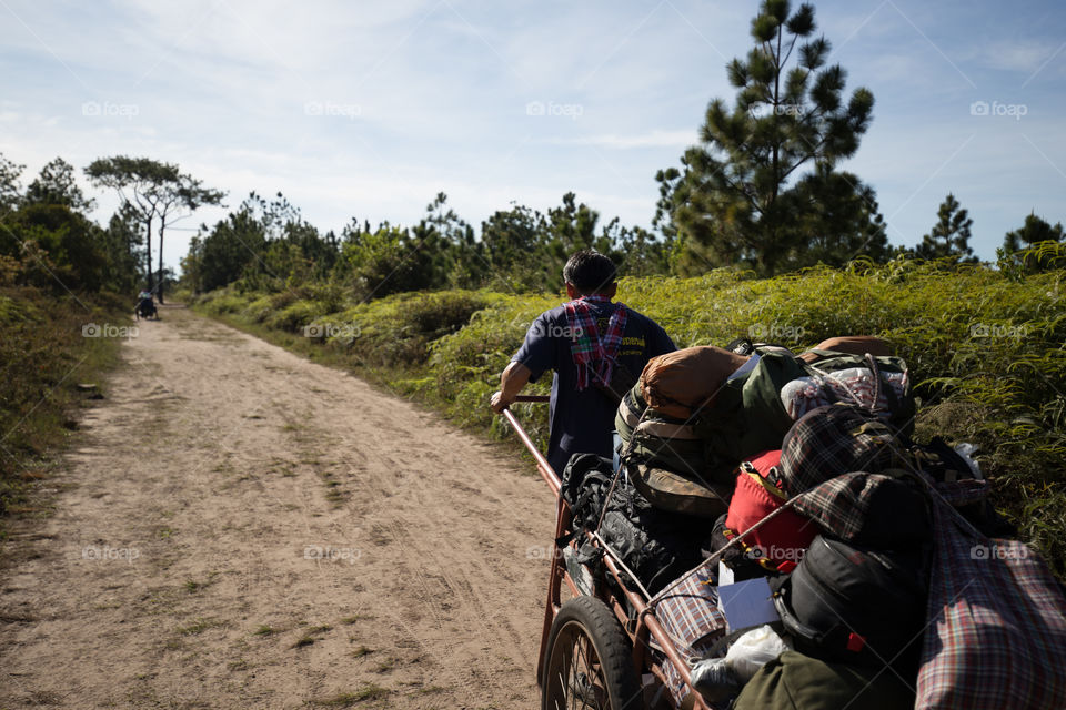 Man carrying cart in the forest 